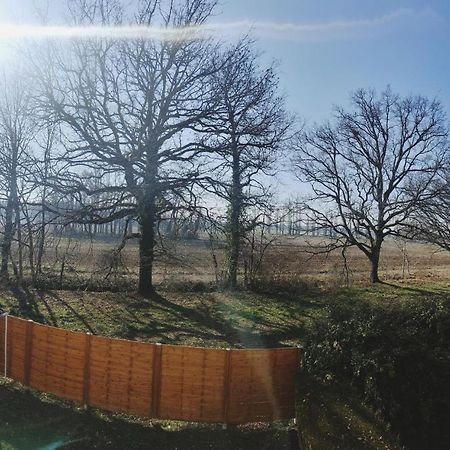Appartamento Beau Duplex Familial Avec Jardin Cloture Douvaine Esterno foto