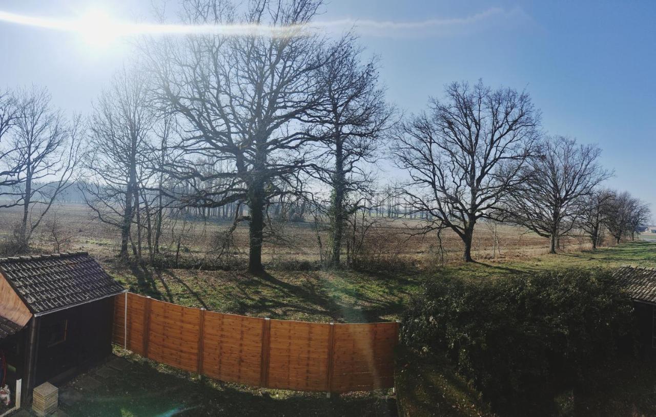 Appartamento Beau Duplex Familial Avec Jardin Cloture Douvaine Esterno foto